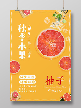 橙色清新简约秋季水果海报柚子秋天水果